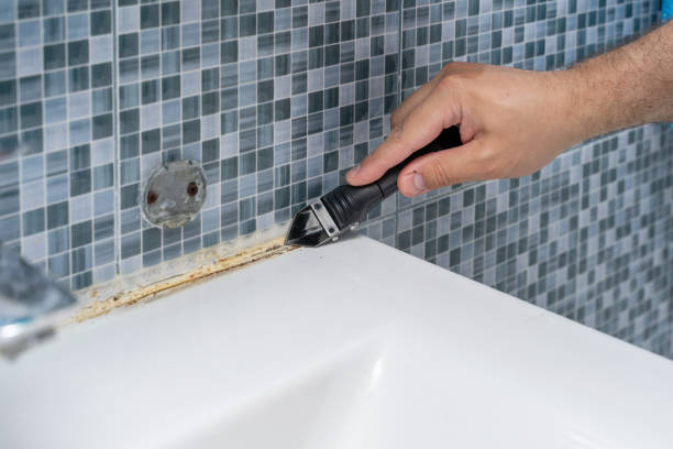 Best Best Mold Removal Companies  in Fowlkes, TN